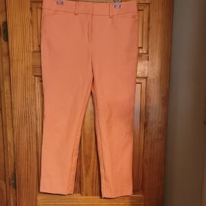 Ann Taylor Ankle Pant